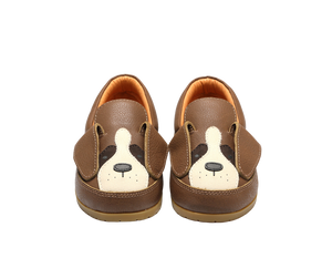 Donsje Kifi - Saint Bernard - 23 Last Pair