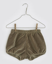 Load image into Gallery viewer, Little Cotton Clothes Poppy Bloomers - Artichoke Velvet - 2/3Y, 3/4Y