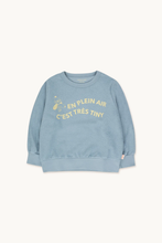 Load image into Gallery viewer, Tinycottons En Plein Air Sweatshirt - 2Y, 3Y