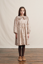 Load image into Gallery viewer, Bebe Organic Olivia Dress - 2Y, 4Y