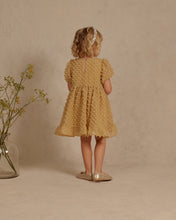 Load image into Gallery viewer, Noralee Quinn Dress - Honey - 2Y, 4Y, 6Y