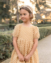 Load image into Gallery viewer, Noralee Quinn Dress - Honey - 2Y, 4Y, 6Y